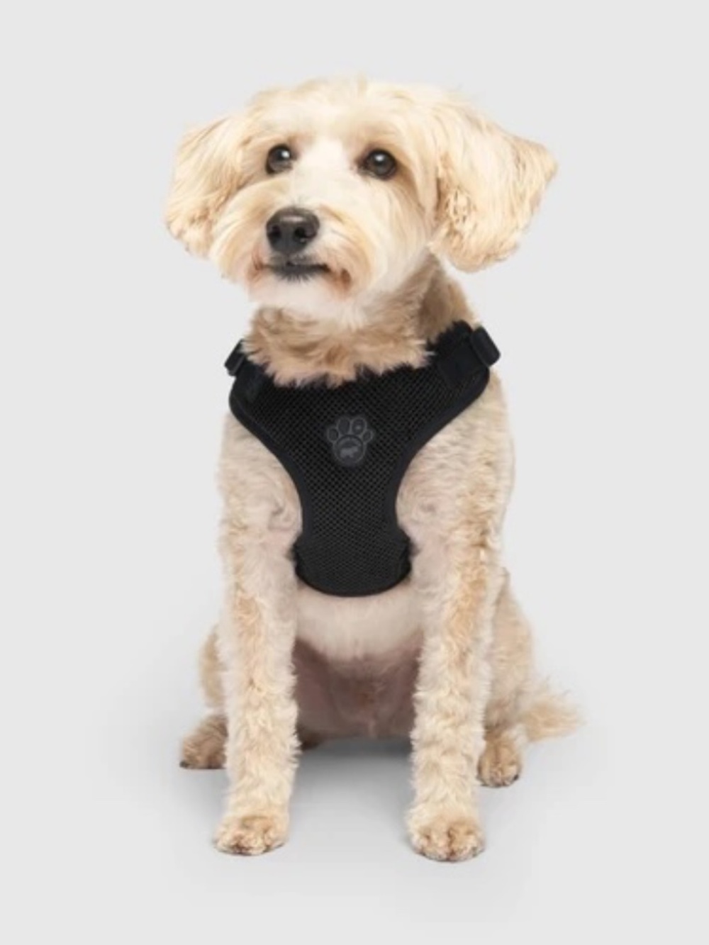 Easy Step On Harness Canada Pooch